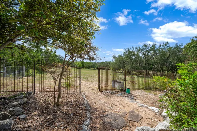 a view of backyard with green space