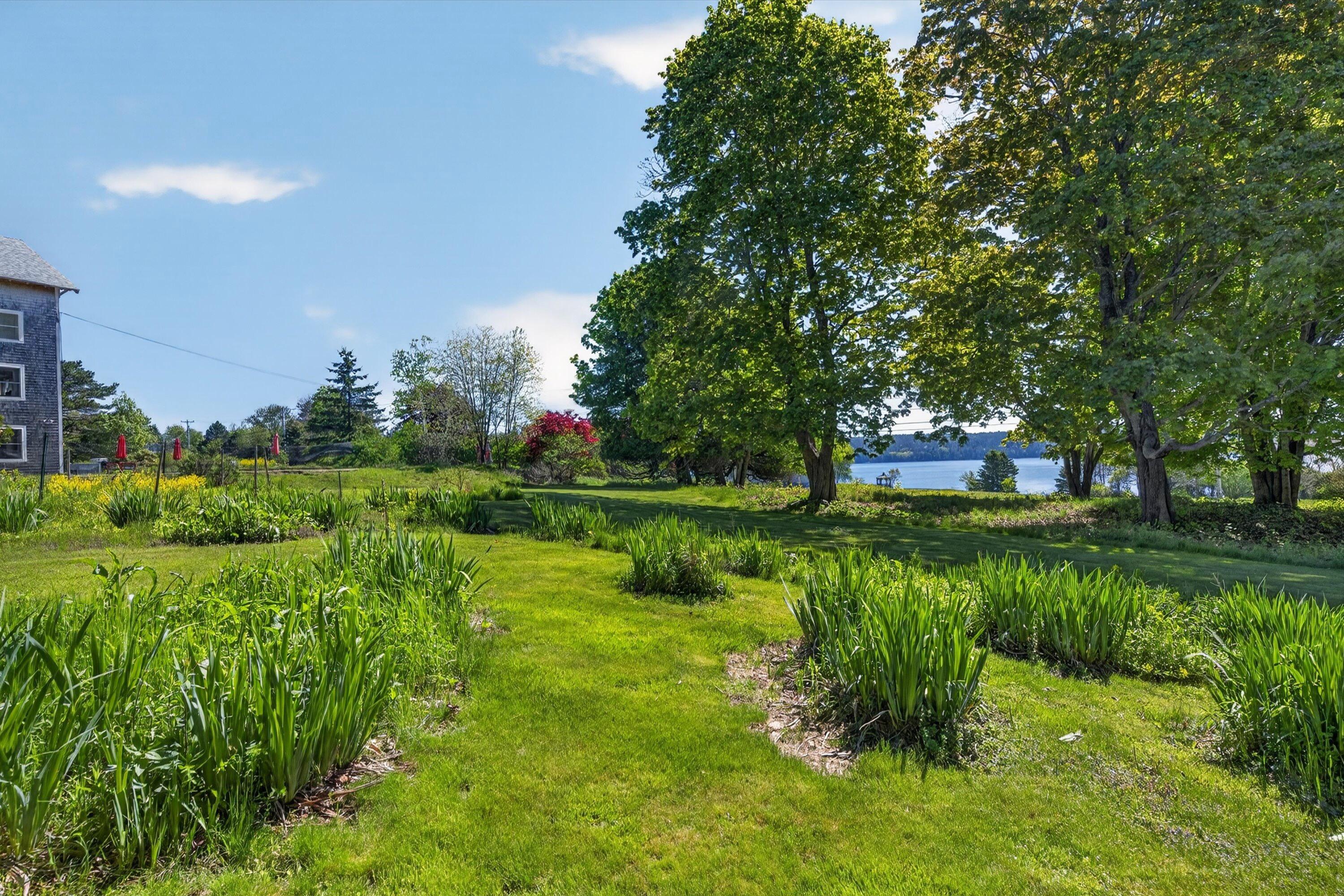 515 Falls Bridge Road Blue Hill, ME 04614 - Photo 77 of 95 515 falls - 85
