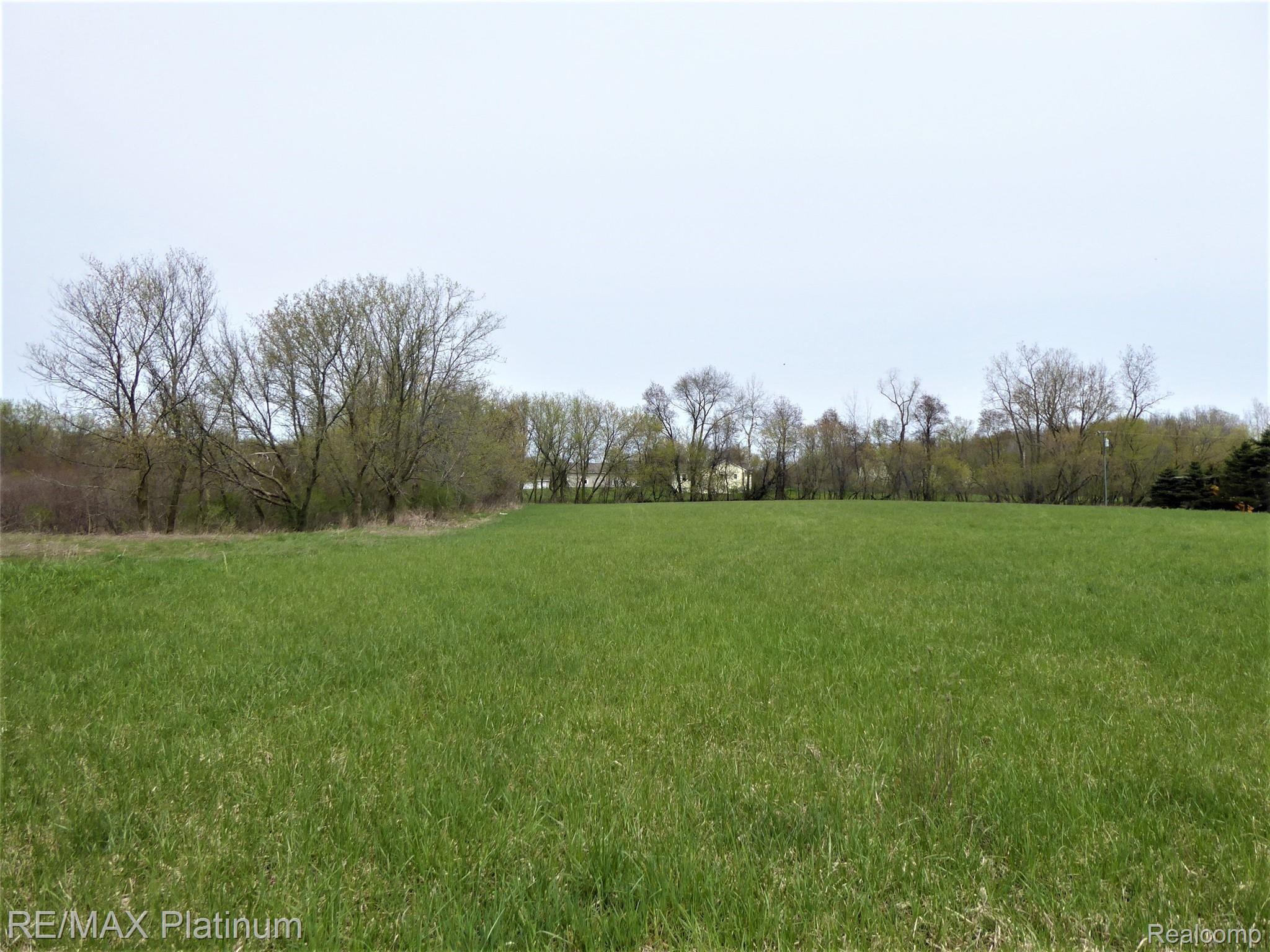 6 Mason Road Webberville, MI 48892 - Photo 4 of 6 Gallery Image 4