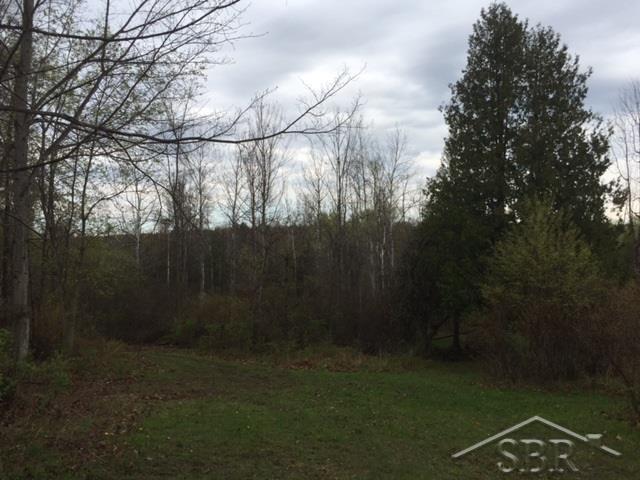 868 West Barnes Road Fostoria, MI 48435 - Photo 39 of 53