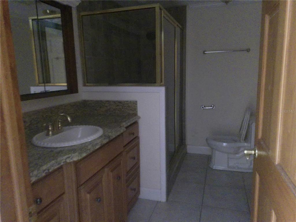 3821 East Osceola Road Geneva, FL 32732 - Photo 26 of 37 a bathroom with a granite countertop sink and a mirror