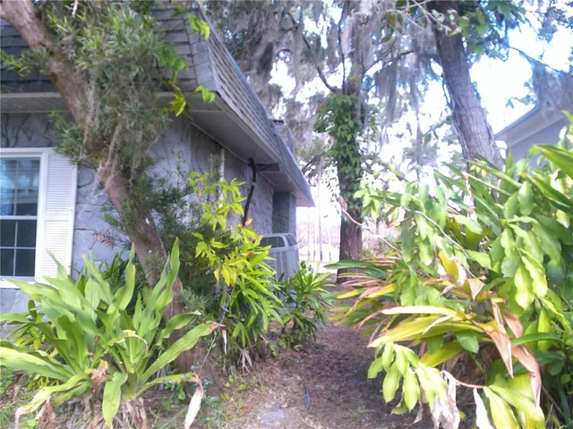 a backyard of a house with a lot of plant