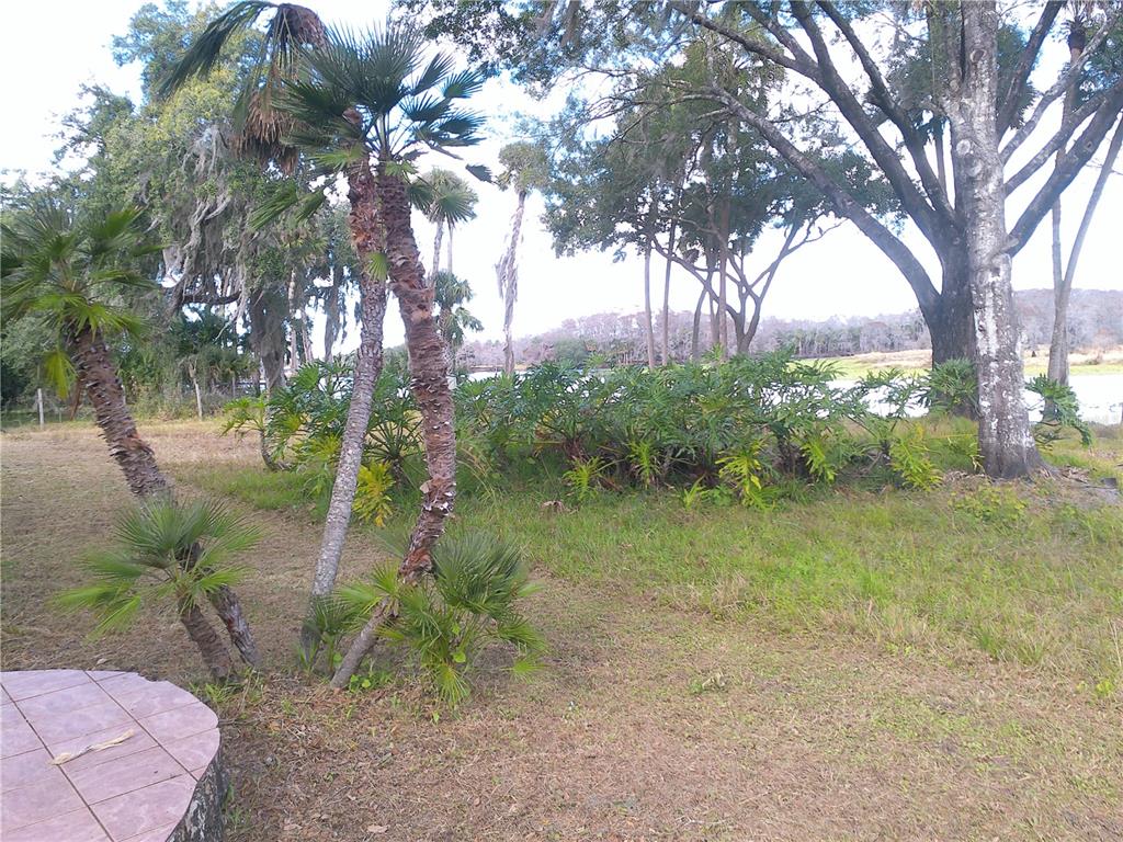 3821 East Osceola Road Geneva, FL 32732 - Photo 6 of 37 a backyard of a house with lots of green space