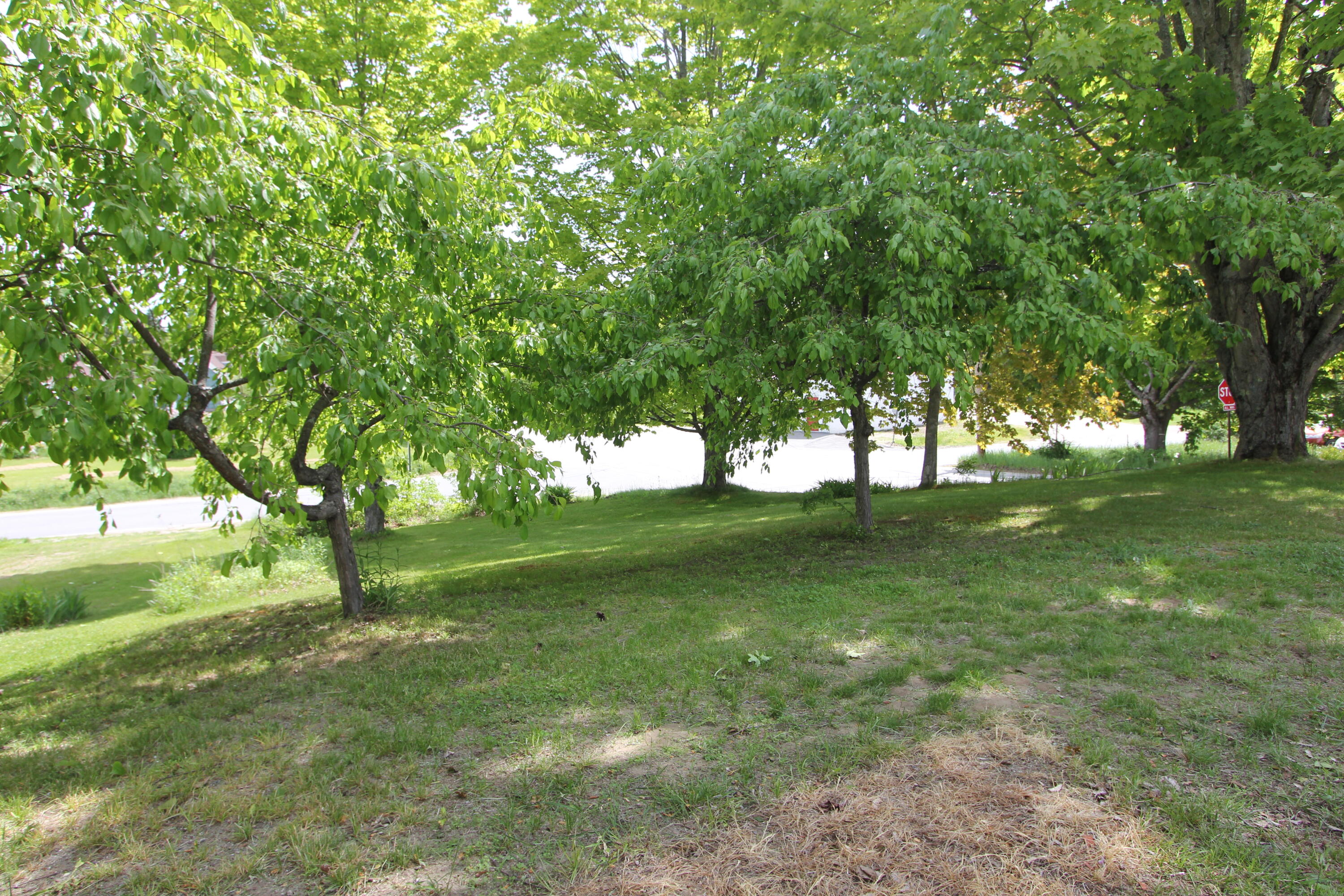 605 Wilson Pond Road North Monmouth, ME 04265 - Photo 61 of 75 IMG_0429