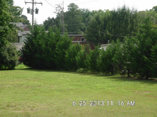 6 Deer Ridge Road Norris, TN 37828 - Photo 3 of 6 Additional Photo