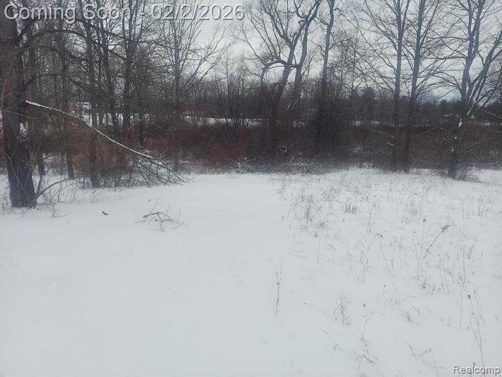 0 North Washburn Rd Vacant Land Davison, MI 48423 - Photo 2 of 4