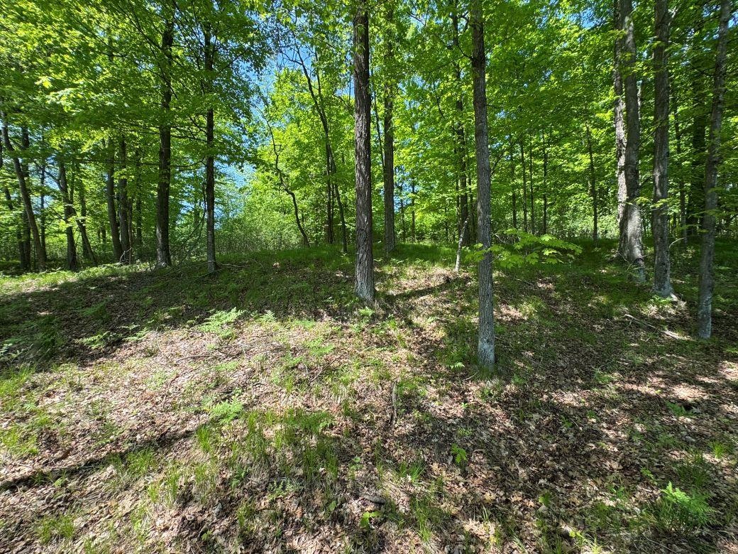 W17810 Eland Road Wittenberg, WI 54499 - Photo 85 of 89
