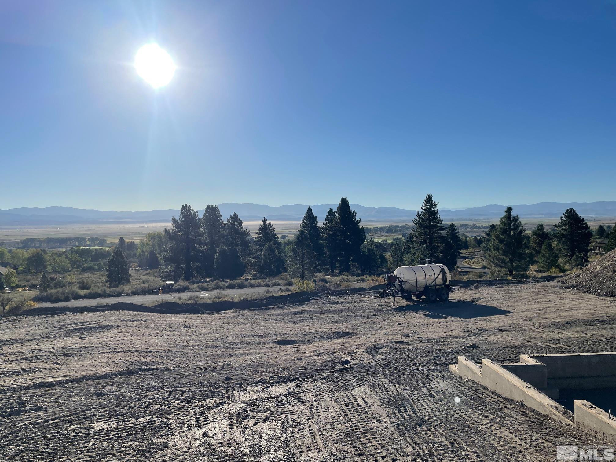 2480 Eagle Ridge Road Genoa, NV 89411 - Photo 6 of 11 a view of a dry yard