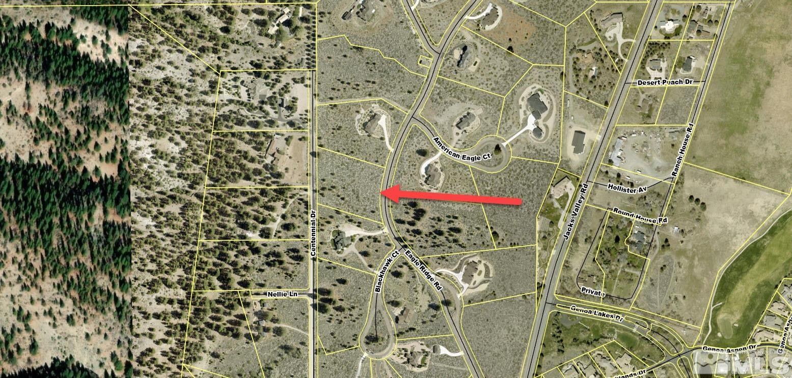 2480 Eagle Ridge Road Genoa, NV 89411 - Photo 9 of 11