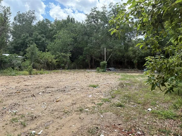 a view of backyard with green space