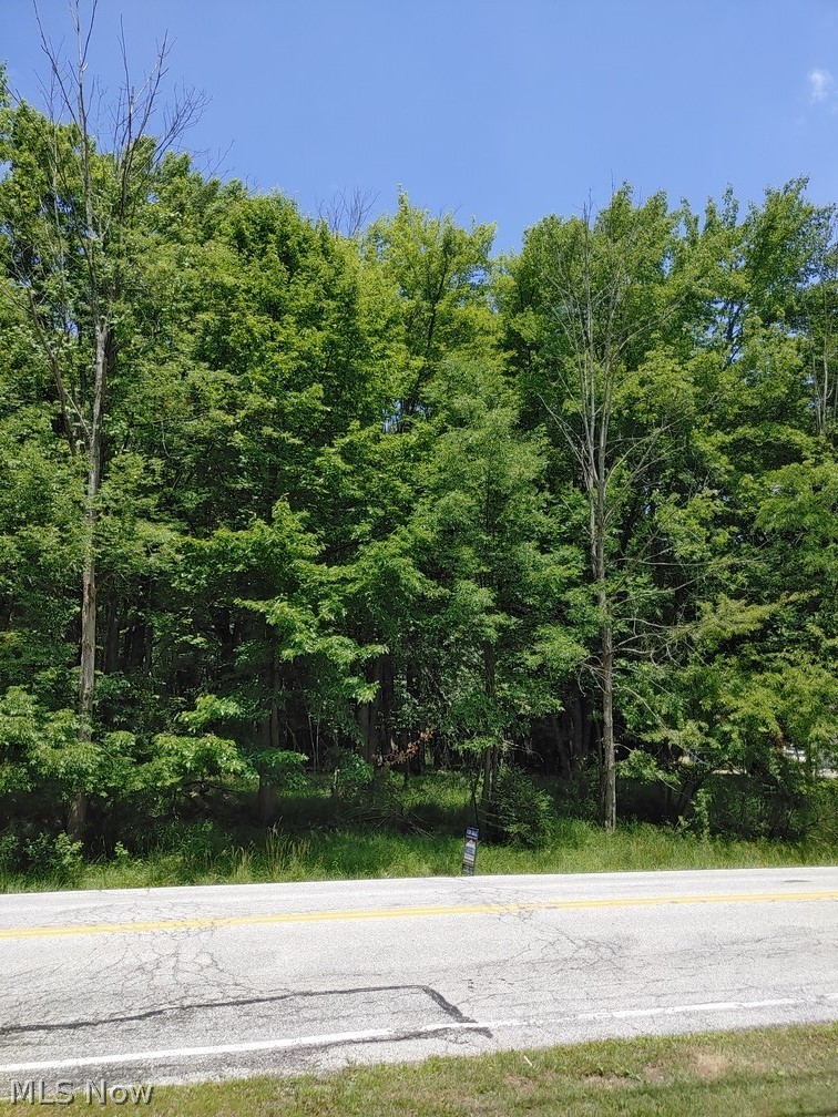 Harris Road Broadview Heights, OH 44147 - Photo 1 of 1 Gallery Image 1
