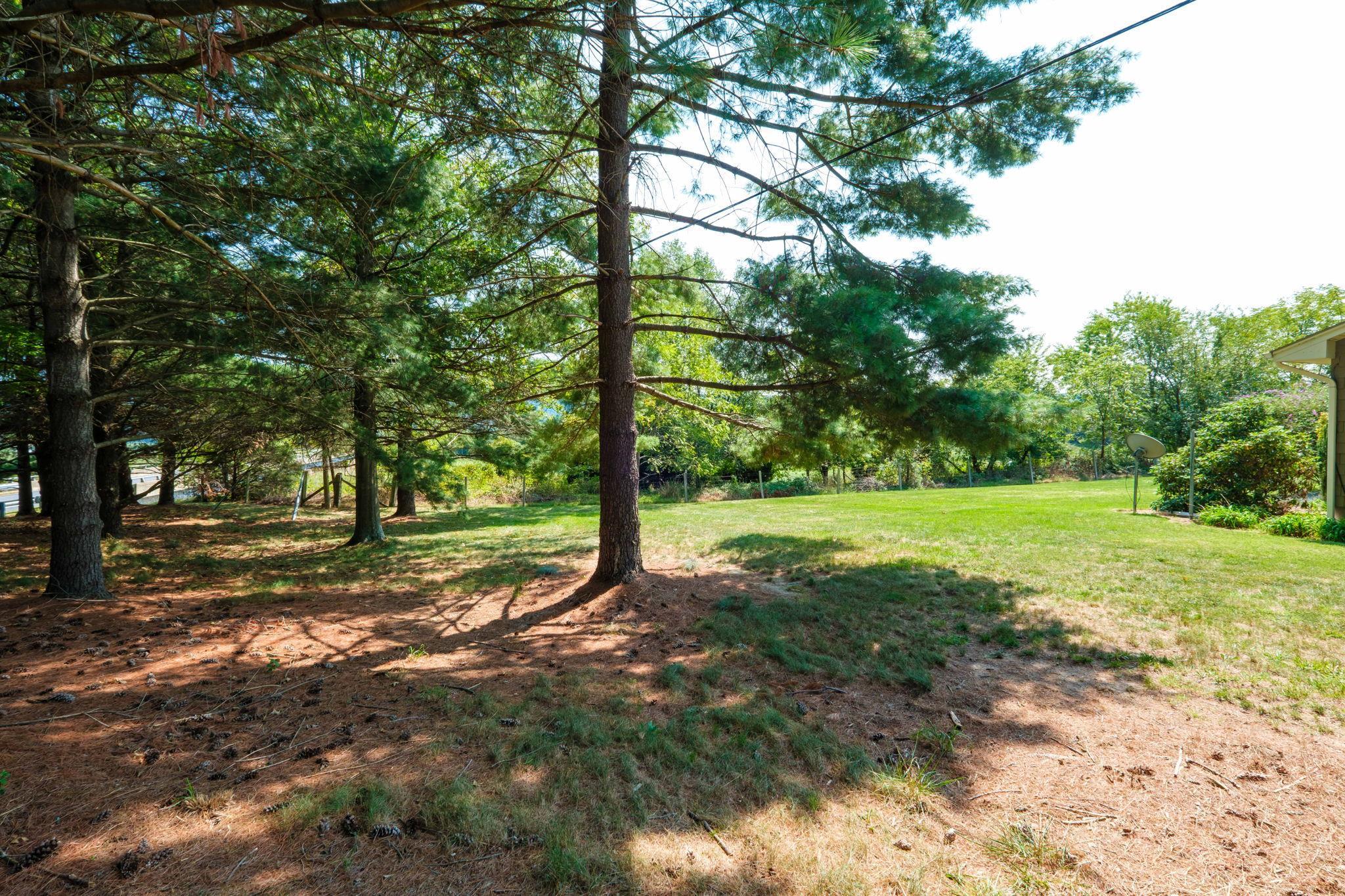 540 Feed Road Broadway, VA 22815 - Photo 27 of 33 Gallery Image 27