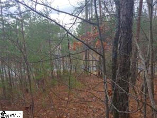 S13 Mountain View Road Salem, SC 29676 - Photo 2 of 14 Gallery Image 2