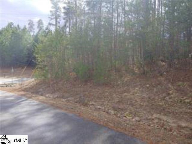 S13 Mountain View Road Salem, SC 29676 - Photo 3 of 14 Gallery Image 3
