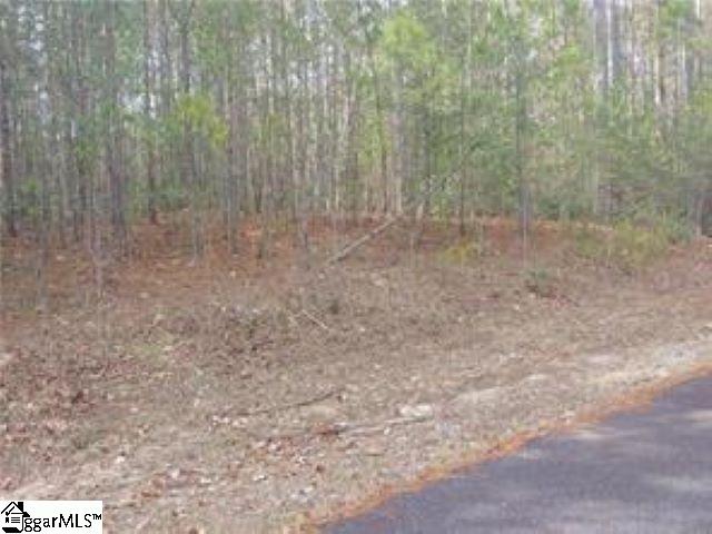 S13 Mountain View Road Salem, SC 29676 - Photo 4 of 14 Gallery Image 4