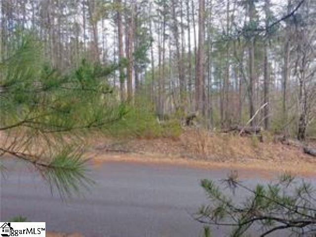 S13 Mountain View Road Salem, SC 29676 - Photo 5 of 14 Gallery Image 5