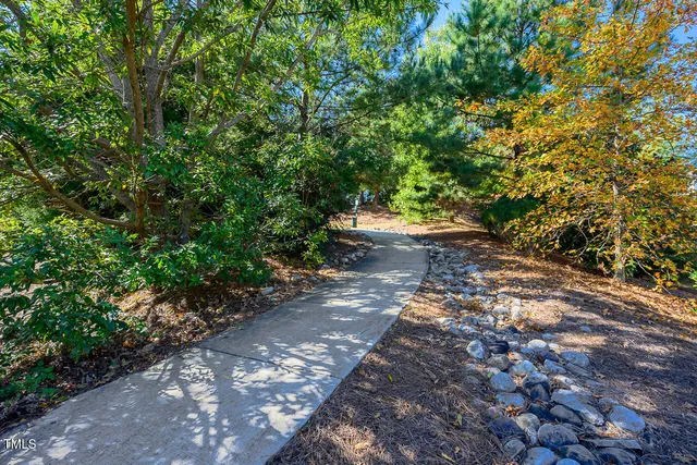 a view of a park with pathway and trees