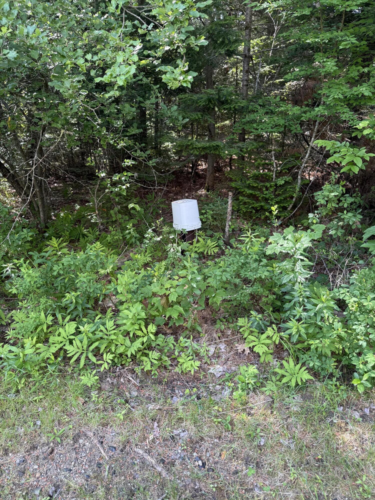 364 Goose Cove Road Trenton, ME 04605 - Photo 15 of 16 IMG_2355