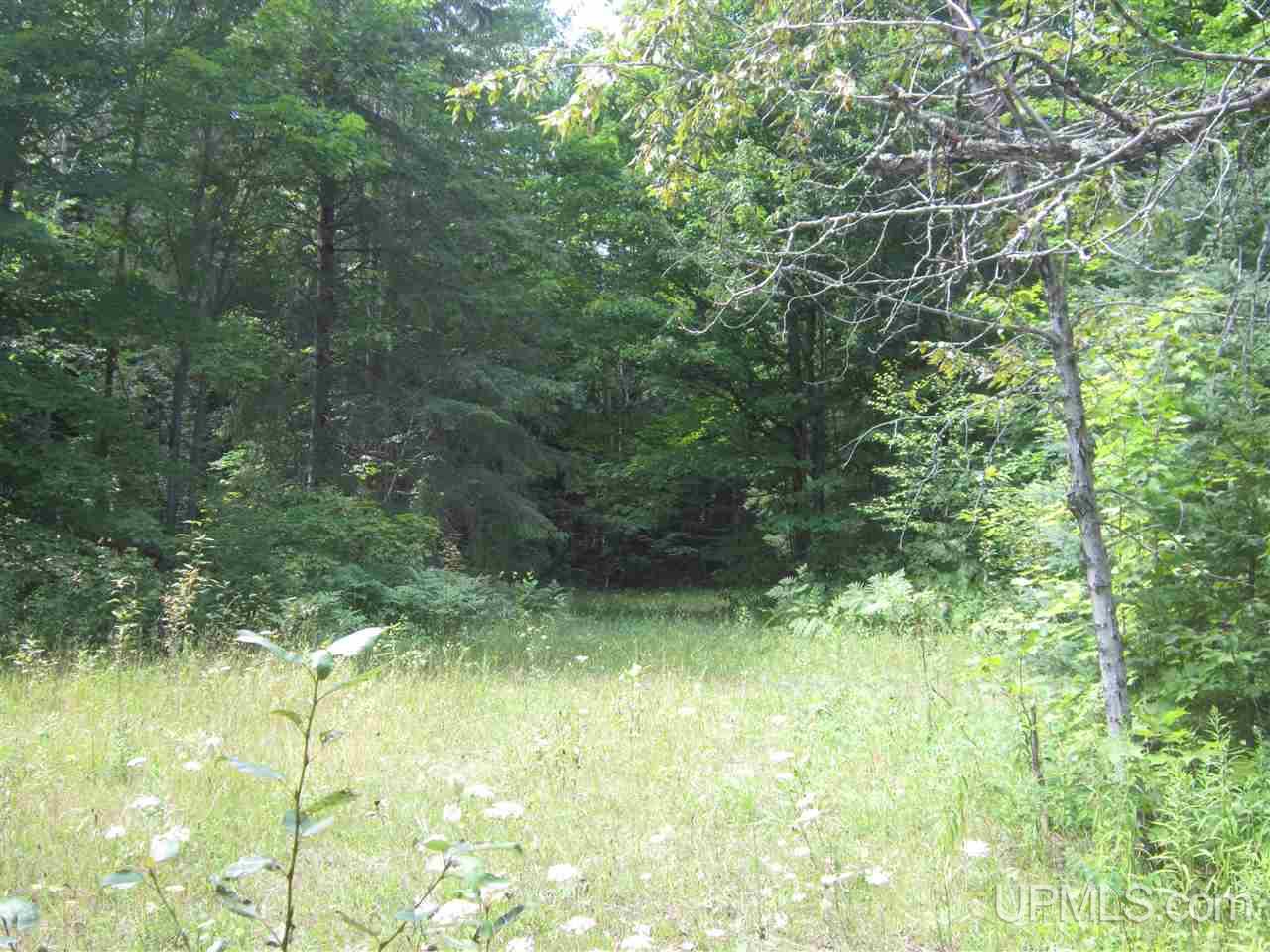 N4227 Et Road Eben Junction, MI 49816 - Photo 2 of 21