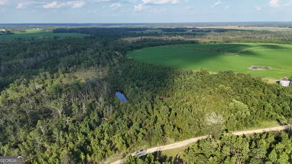a view of a green field with lots of bushes