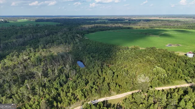 $541,725 | 3 Rhonda Coleman Road, Hazlehurst, GA 31539