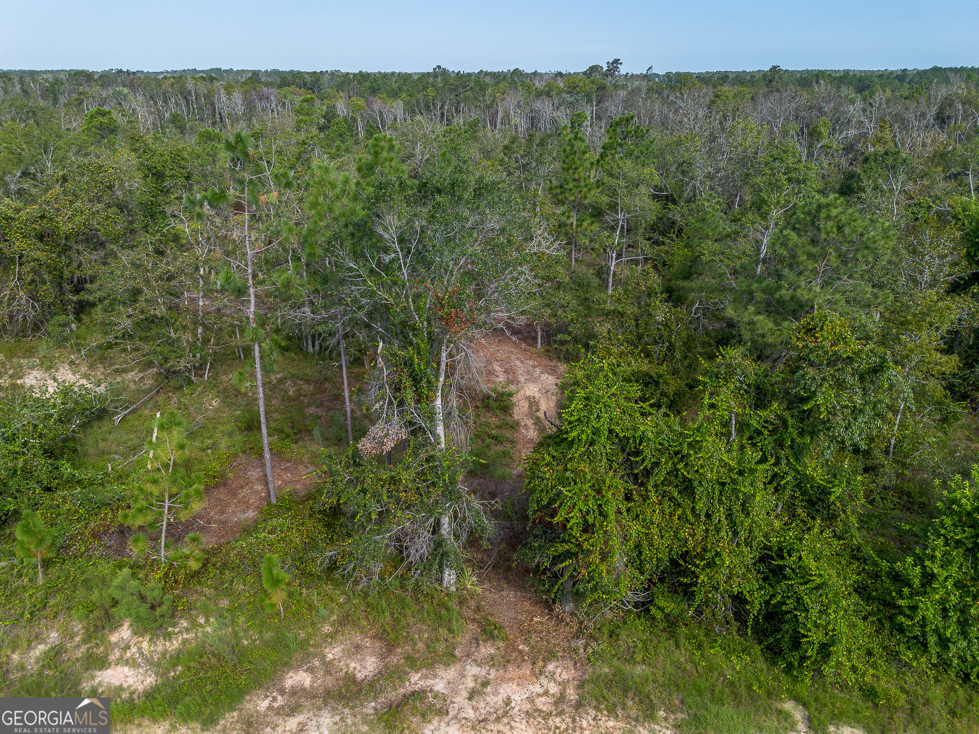 Tract 3 Rhonda Coleman Road Hazlehurst, GA 31539 - Photo 11 of 29 a view of a forest with a street