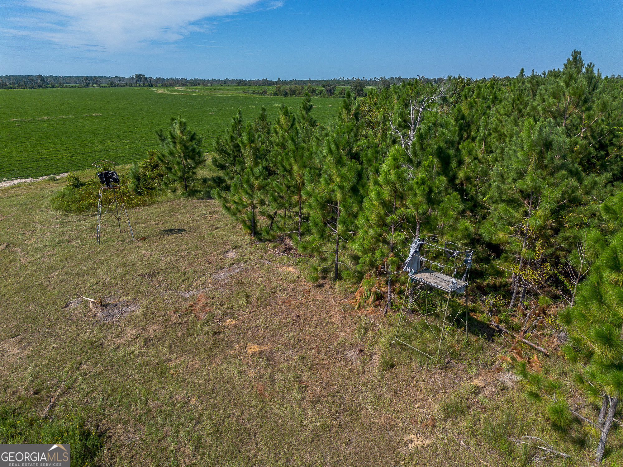 Tract 3 Rhonda Coleman Road Hazlehurst, GA 31539 - Photo 13 of 29 a view of a yard with an outdoor space