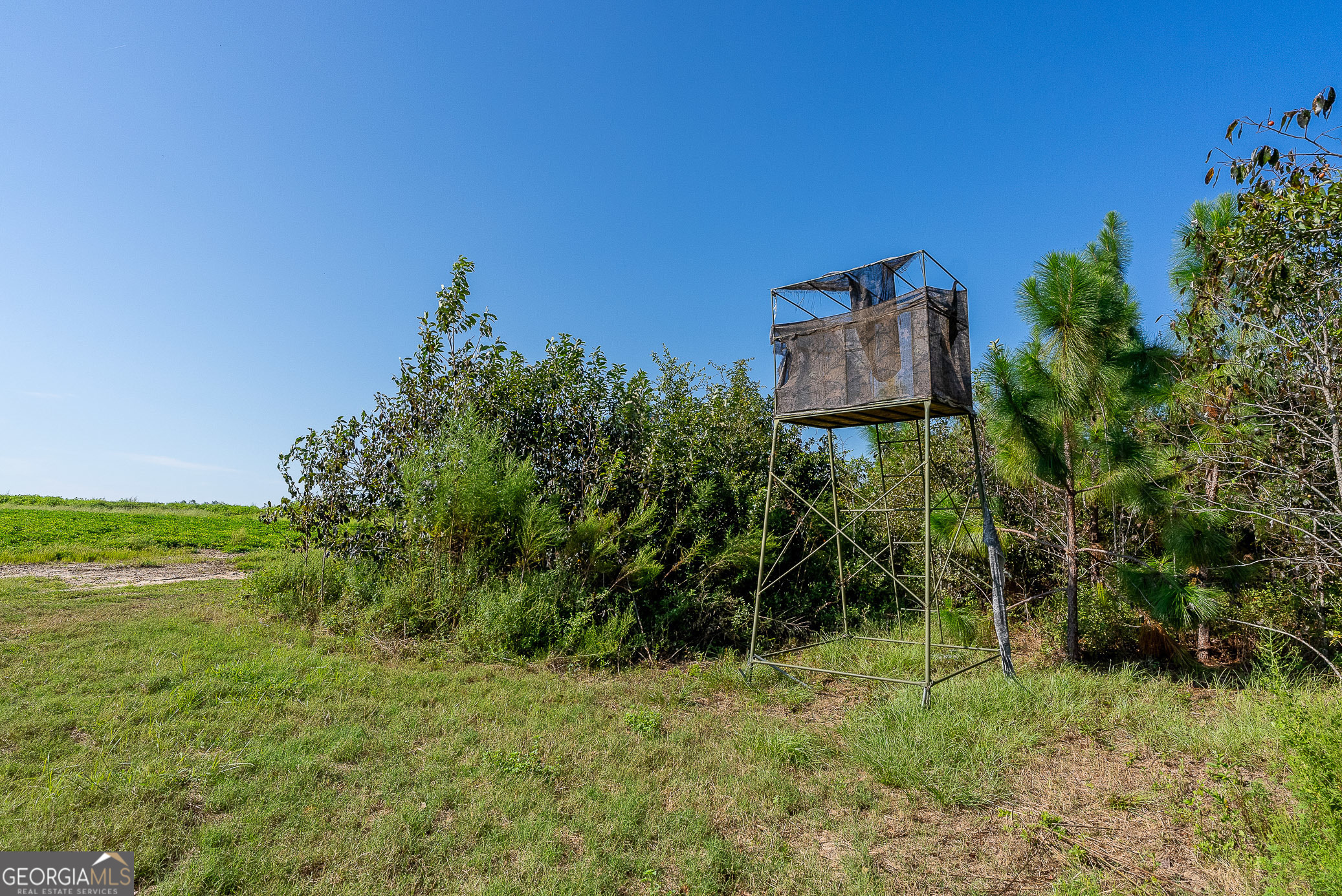 Tract 3 Rhonda Coleman Road Hazlehurst, GA 31539 - Photo 14 of 29 a backyard of a house with lots of green space