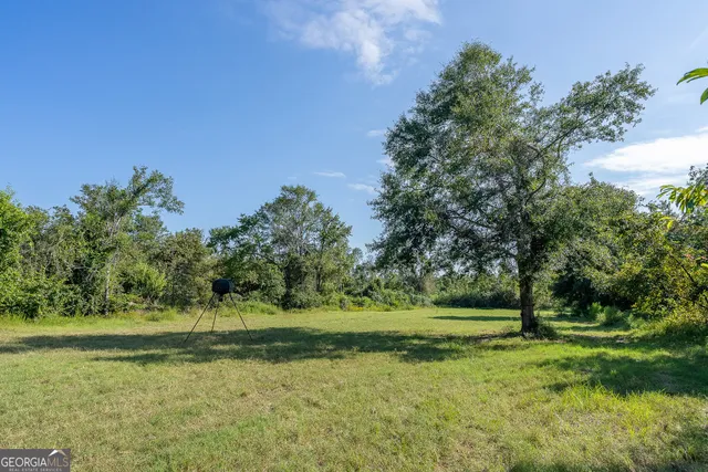 a view of a green field with clear sky