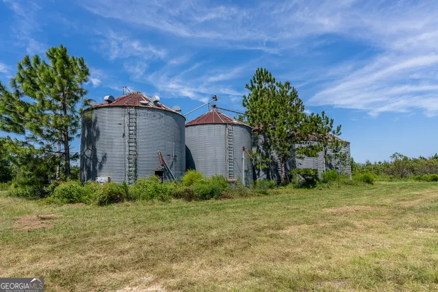 a view of a lush green forest