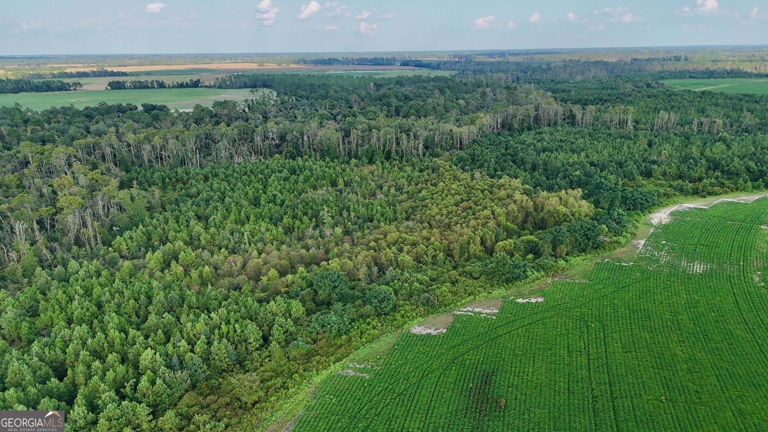 Tract 3 Rhonda Coleman Road Hazlehurst, GA 31539 - Photo 20 of 29 a view of a lush green space