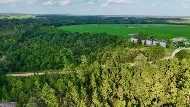a view of a garden with an outdoor space