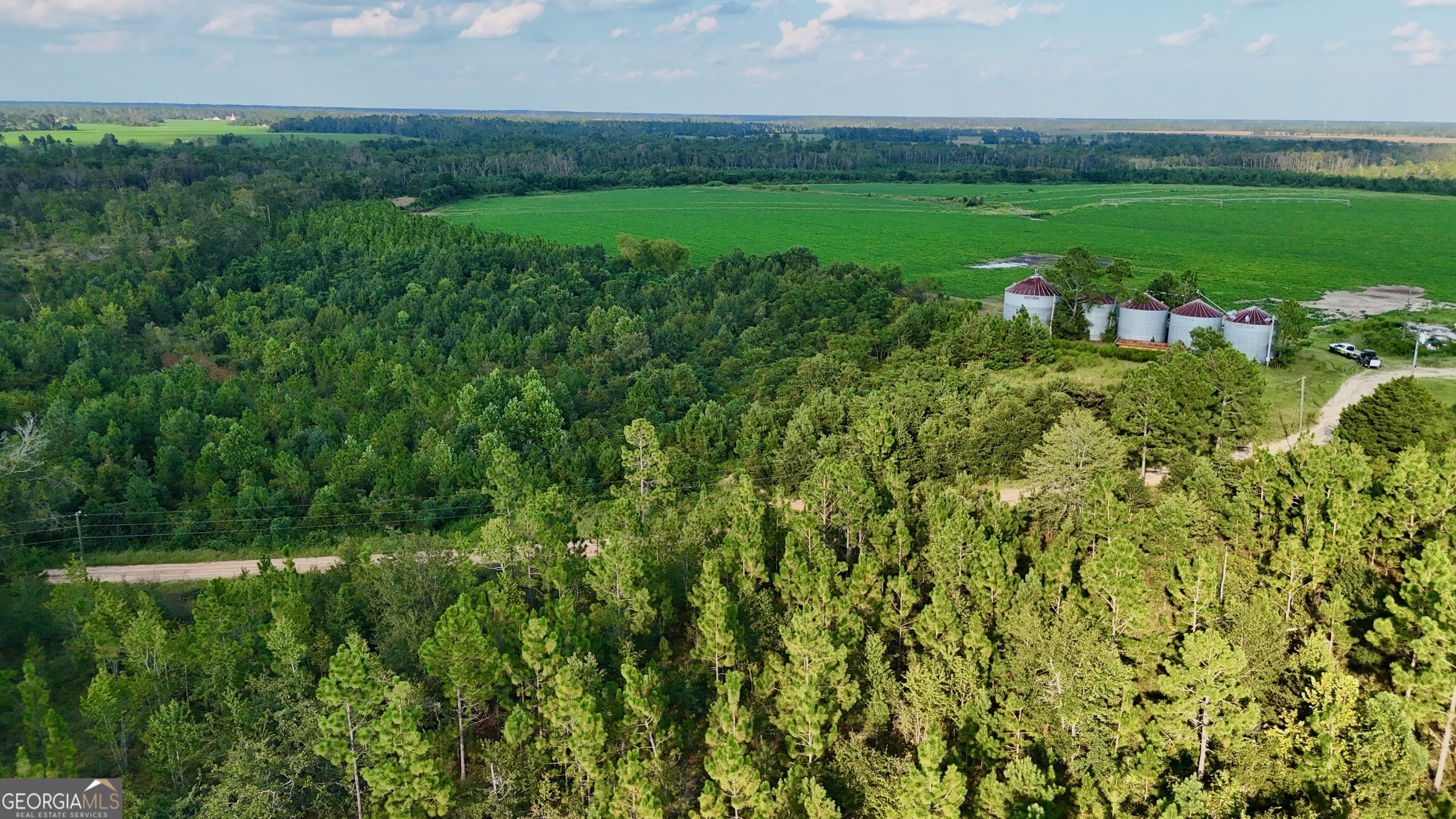 Tract 3 Rhonda Coleman Road Hazlehurst, GA 31539 - Photo 2 of 29 a view of a garden with an outdoor space