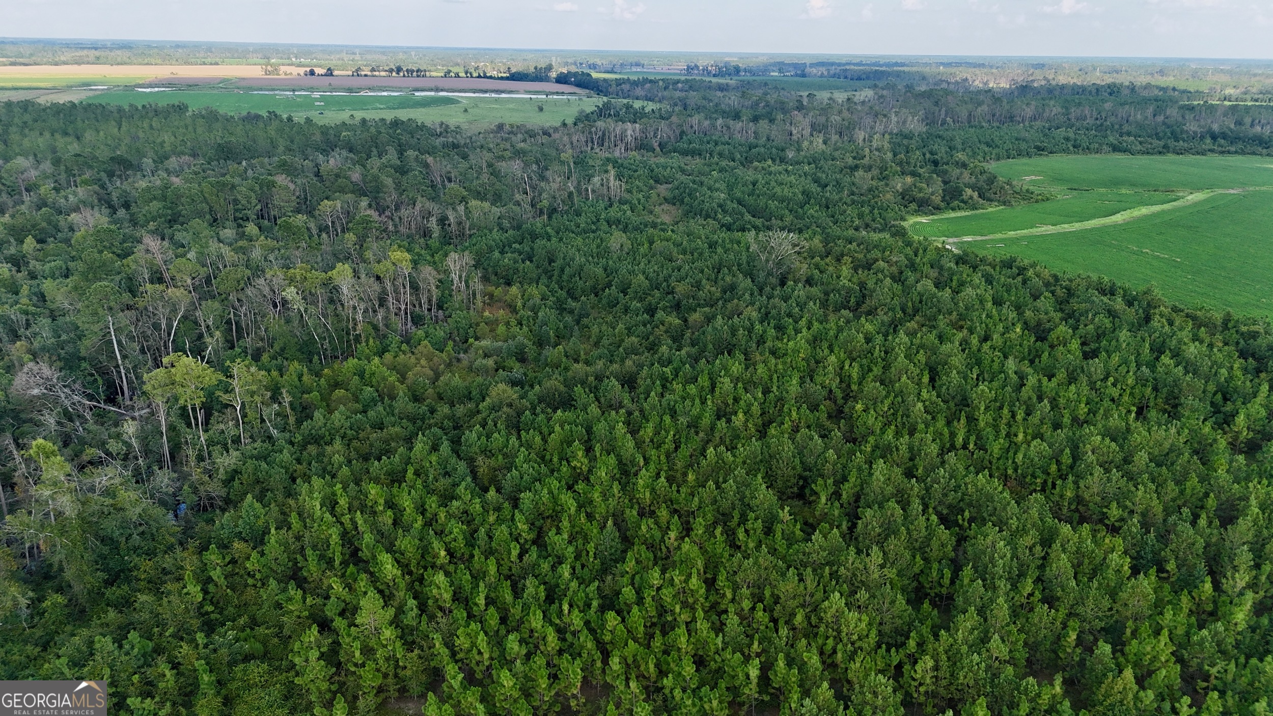 Tract 3 Rhonda Coleman Road Hazlehurst, GA 31539 - Photo 24 of 29 a view of a lush green forest with trees and some houses