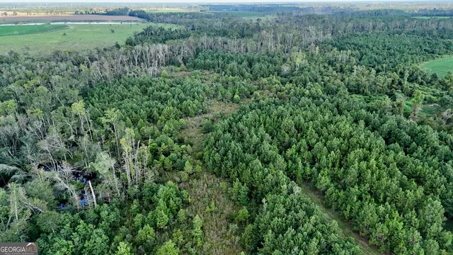 a view of a lush green field