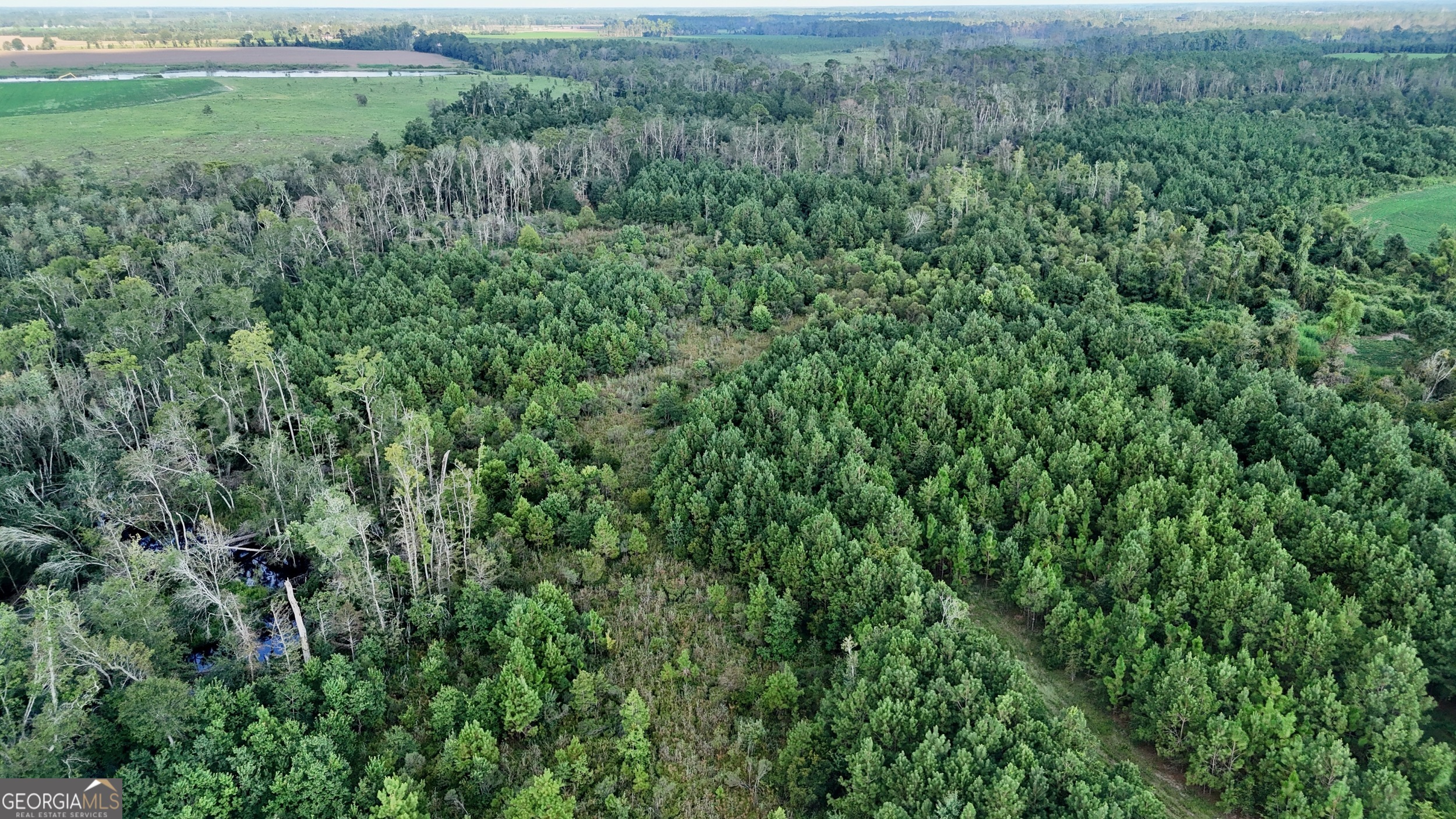 Tract 3 Rhonda Coleman Road Hazlehurst, GA 31539 - Photo 25 of 29 a view of a field of grass and trees