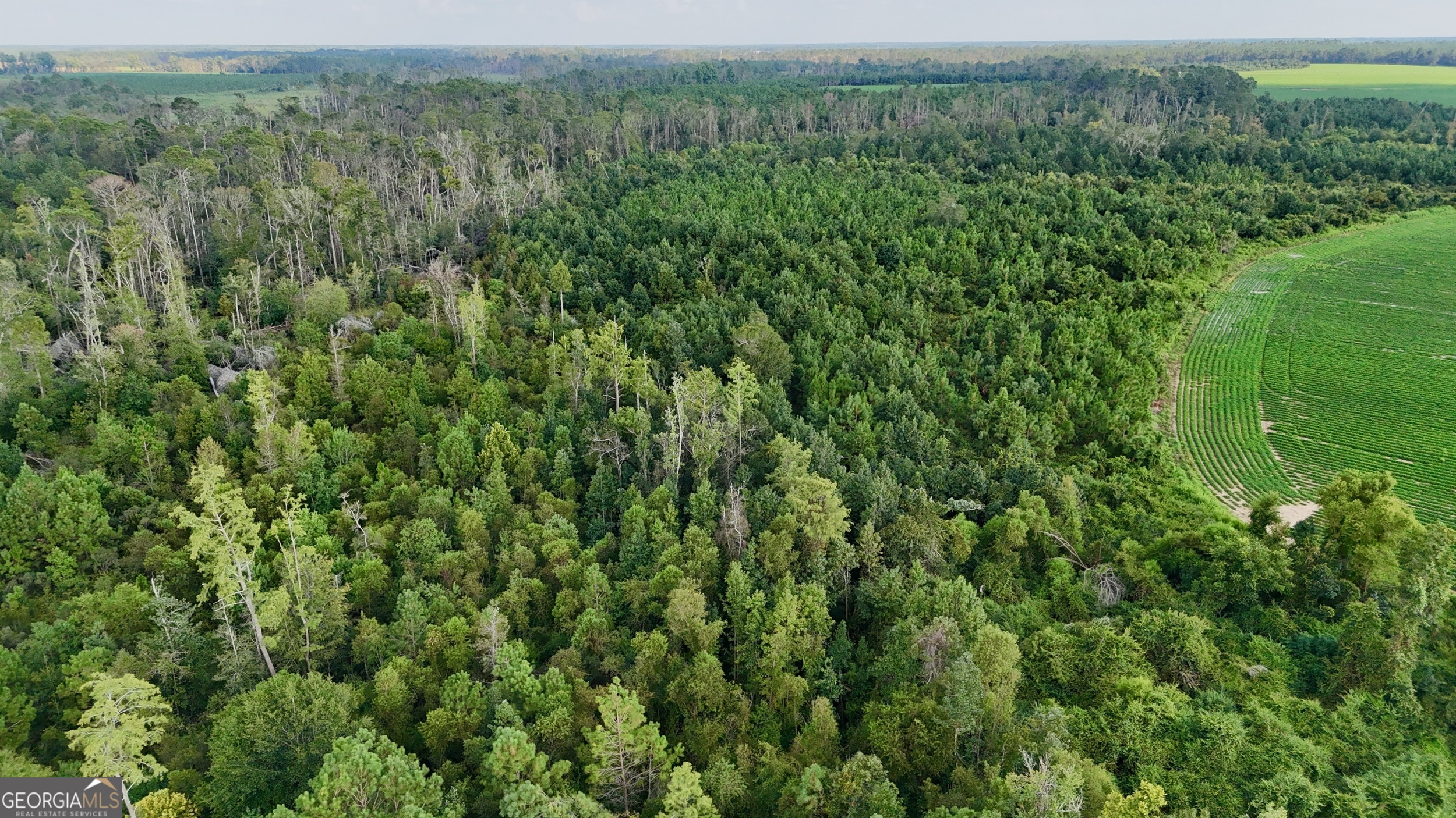 Tract 3 Rhonda Coleman Road Hazlehurst, GA 31539 - Photo 26 of 29 a view of a lush green field