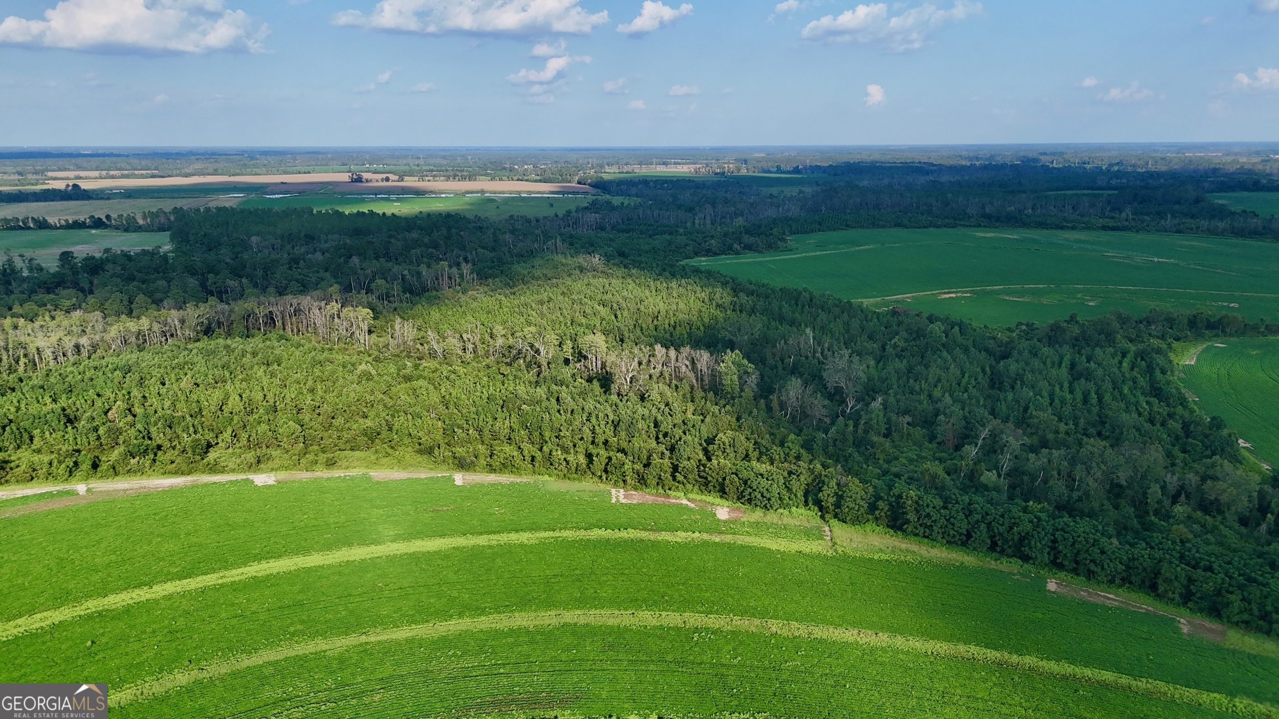 Tract 3 Rhonda Coleman Road Hazlehurst, GA 31539 - Photo 27 of 29 a view of a golf course with a yard