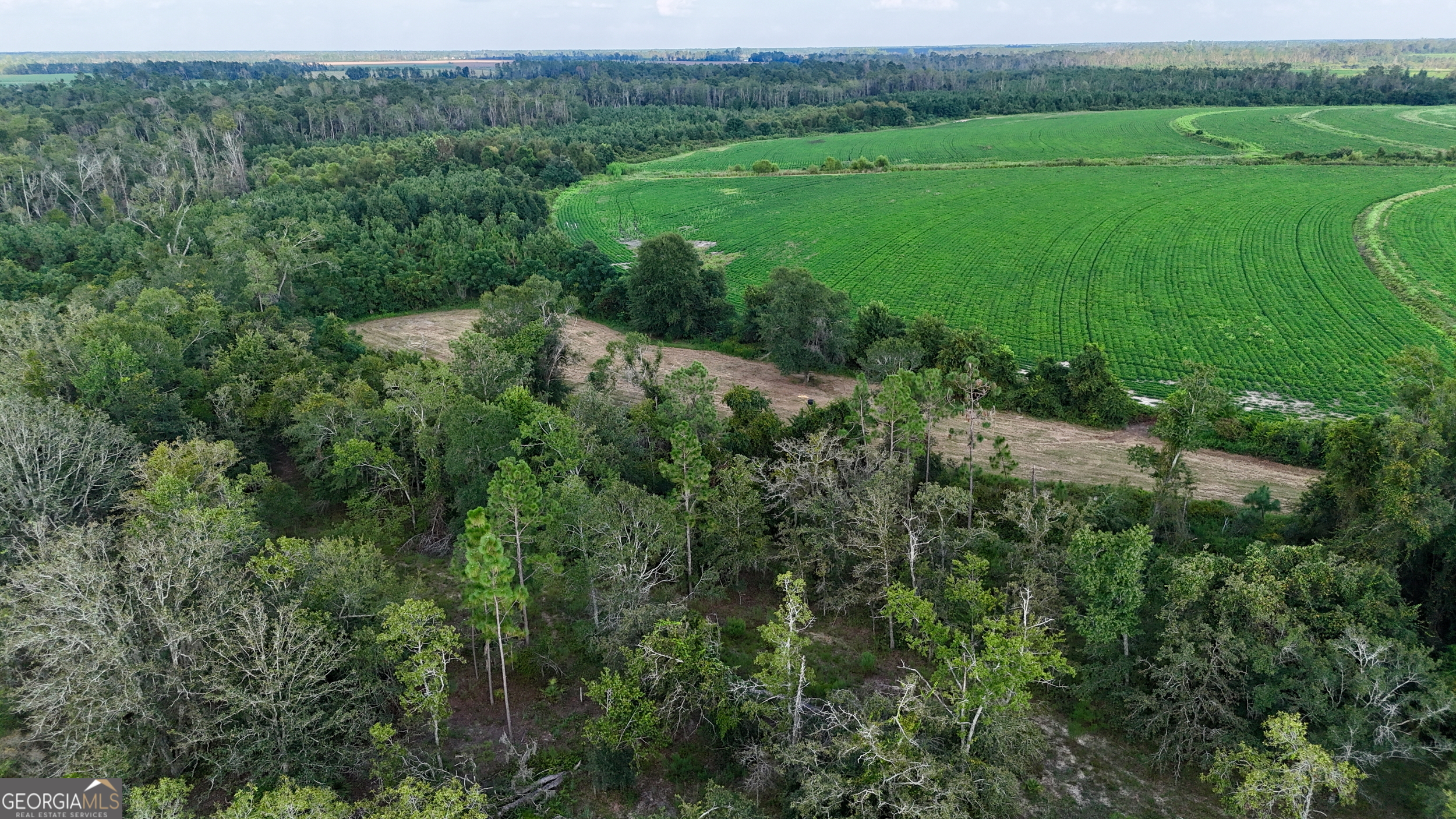 Tract 3 Rhonda Coleman Road Hazlehurst, GA 31539 - Photo 3 of 29 a view of a lush green forest with lots of trees