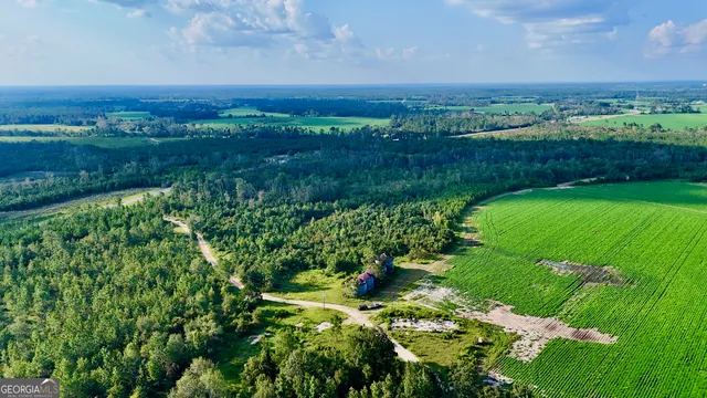 a view of a lush green outdoor space with a lake view