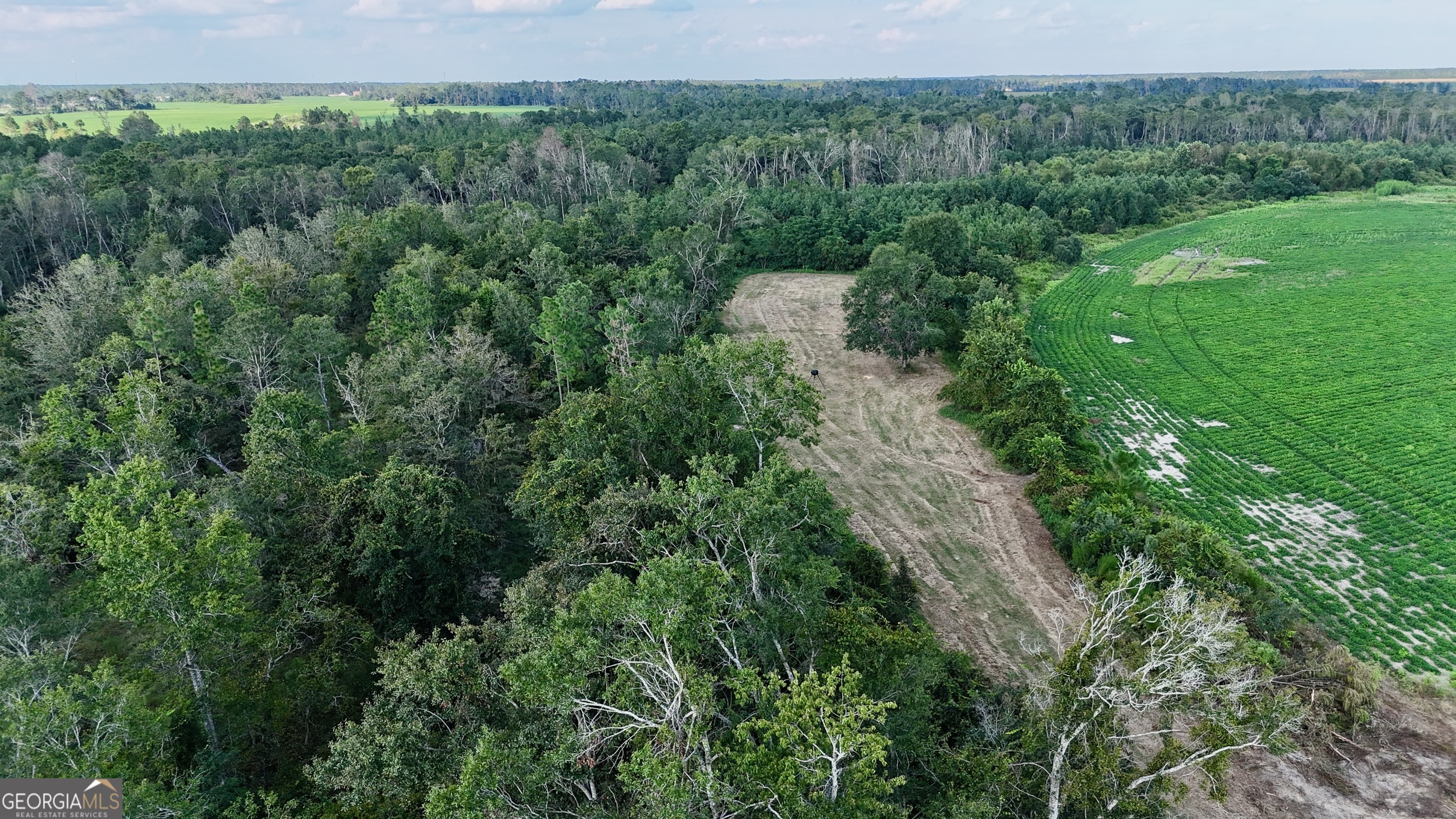 Tract 3 Rhonda Coleman Road Hazlehurst, GA 31539 - Photo 5 of 29 a view of a forest with a street