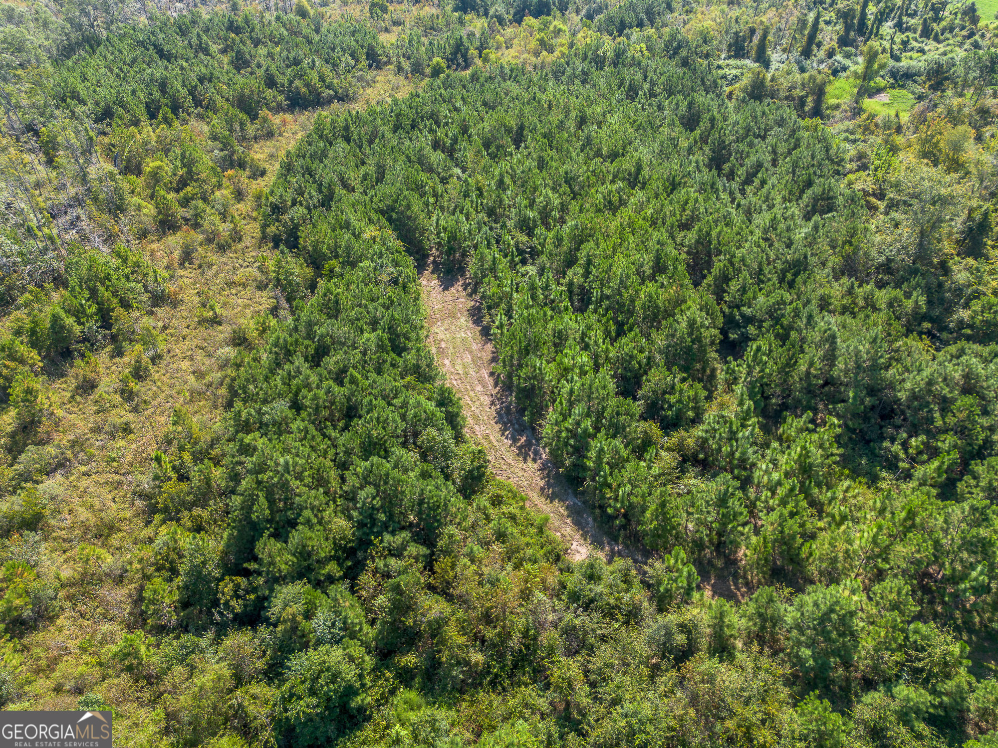 Tract 3 Rhonda Coleman Road Hazlehurst, GA 31539 - Photo 8 of 29 an outdoor view of a yard