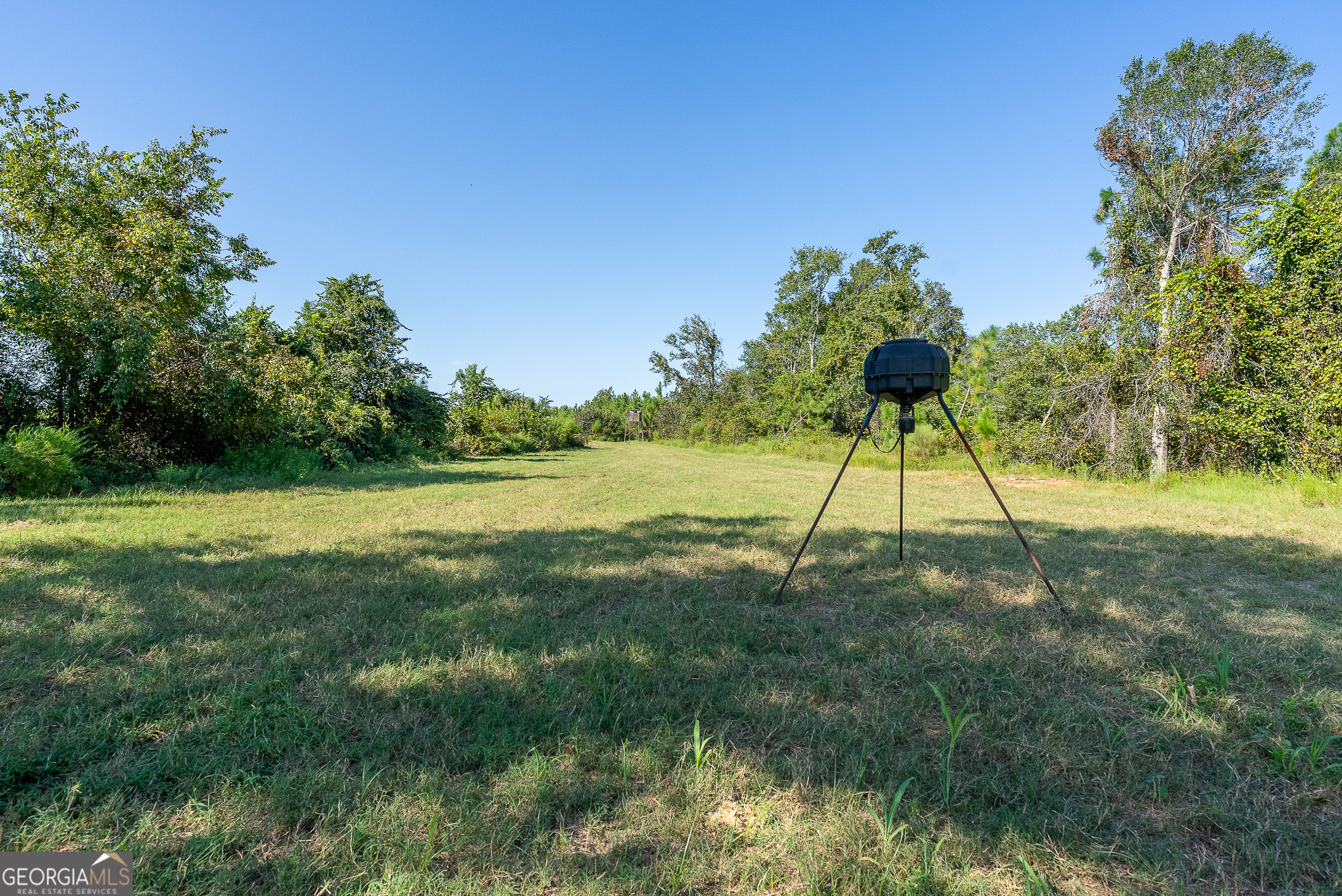 Tract 3 Rhonda Coleman Road Hazlehurst, GA 31539 - Photo 9 of 29 a view of garden with trees