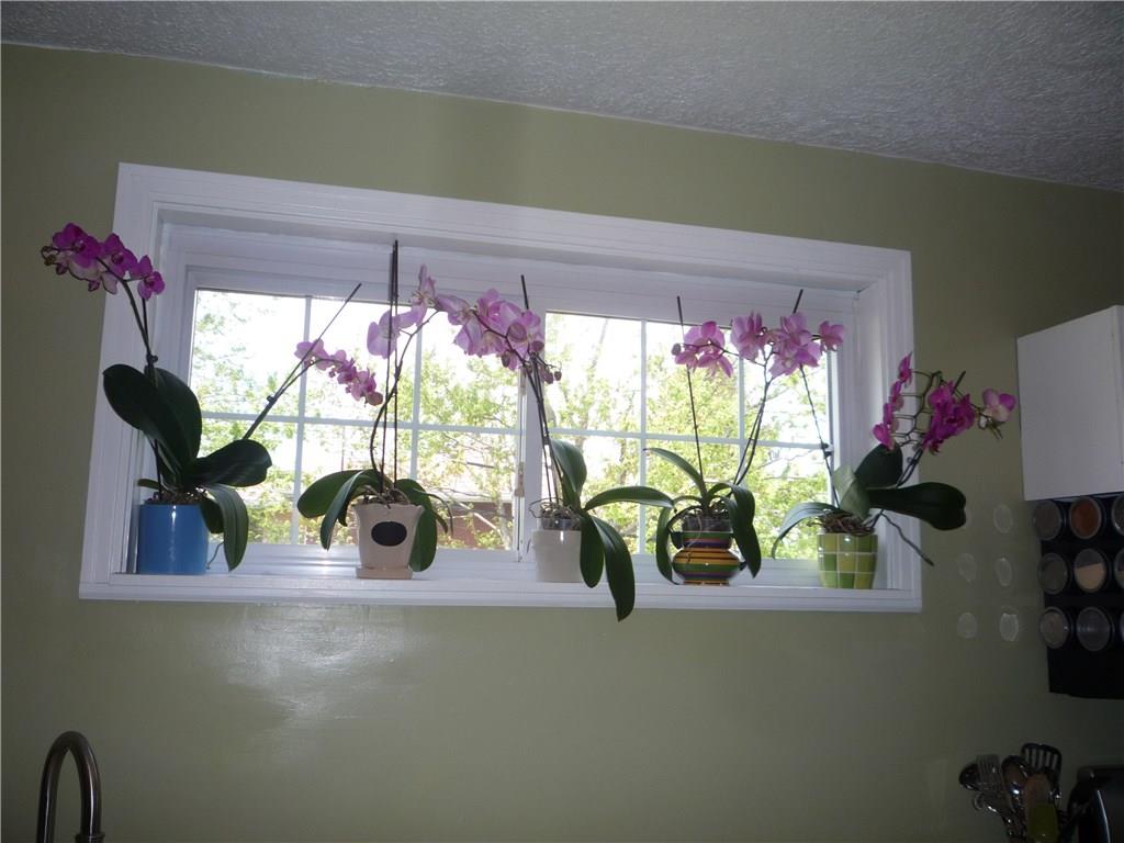 3350 Middletown Road Sheraden, PA 15204 - Photo 9 of 24 Gallery Image 9
