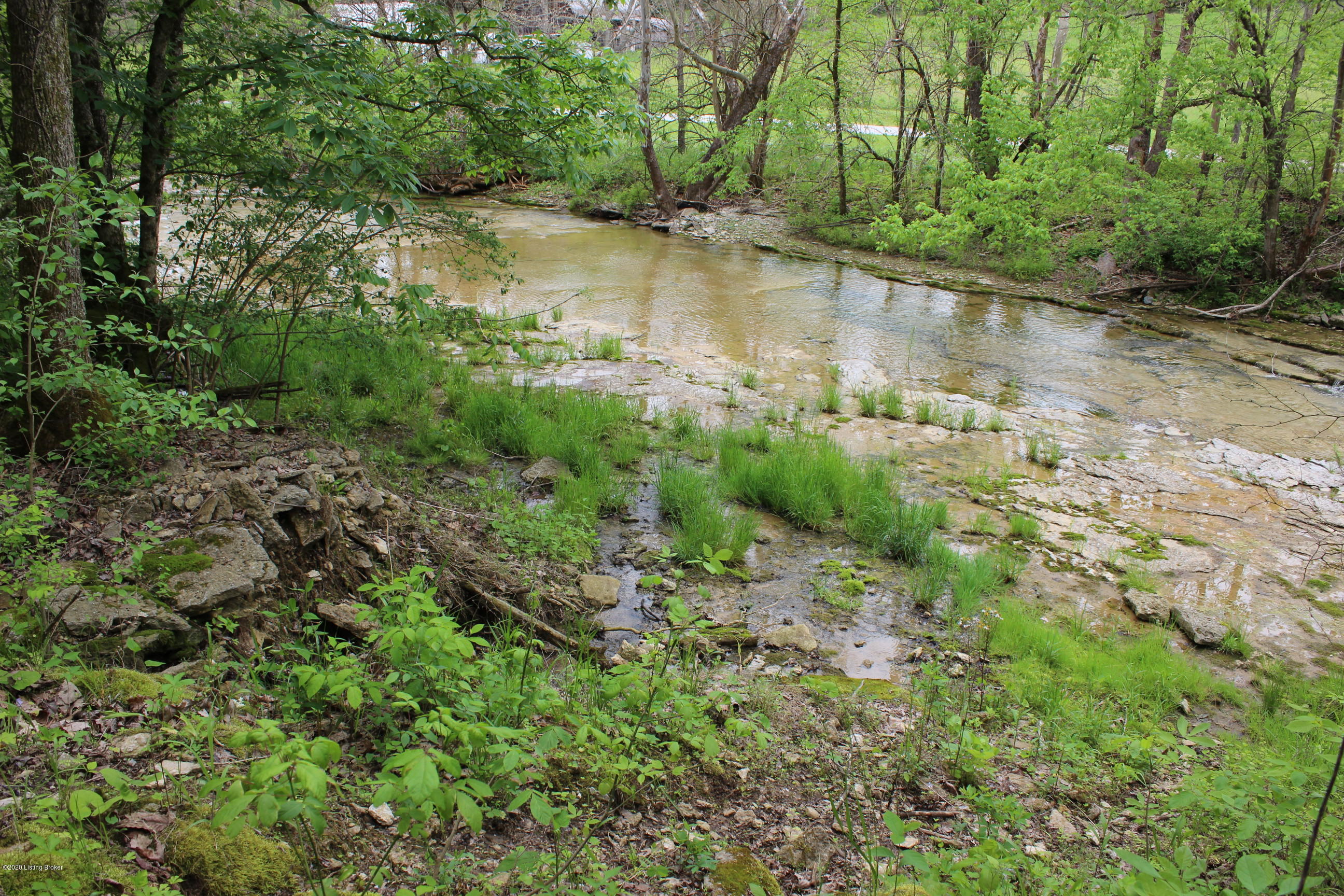 2801 Pattons Creek Road Pendleton, KY 40055 - Photo 77 of 79 IMG_0084