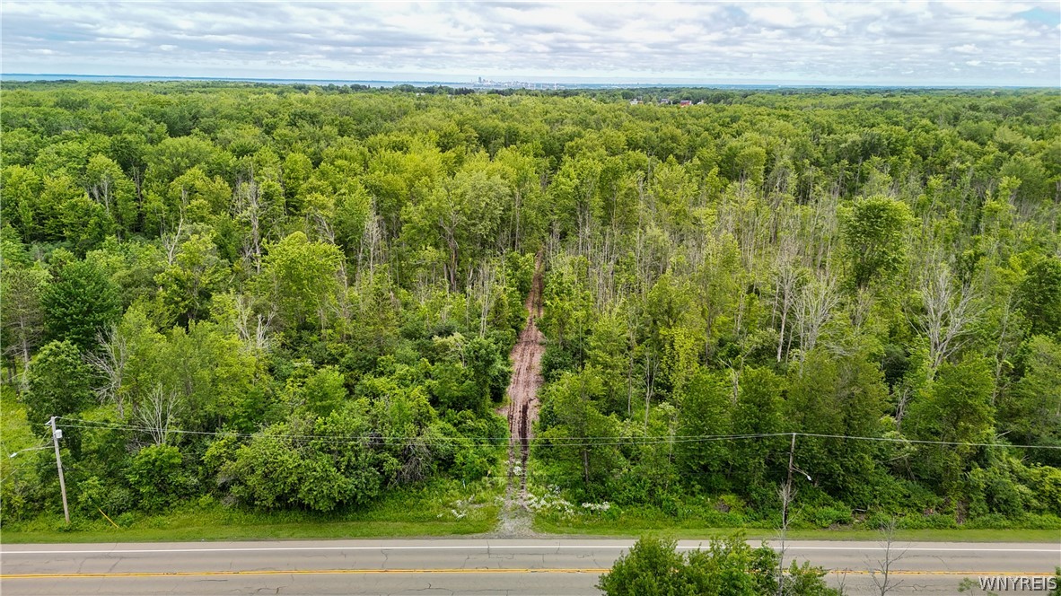 Lakeview Road Hamburg, NY 14075 - Photo 11 of 14