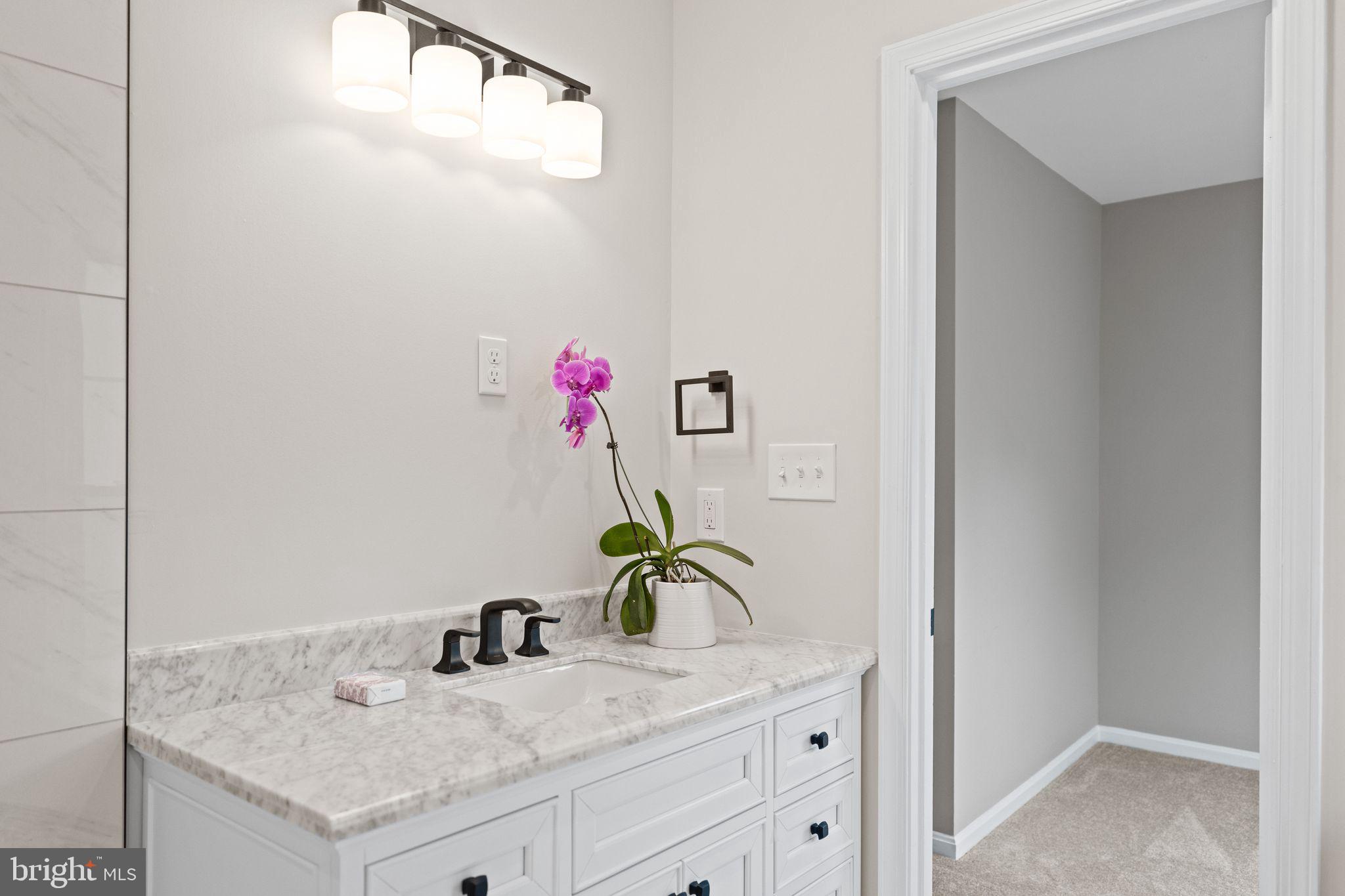 10028 Dellcastle Road Gaithersburg, MD 20886 - Photo 25 of 57 Primary bathroom