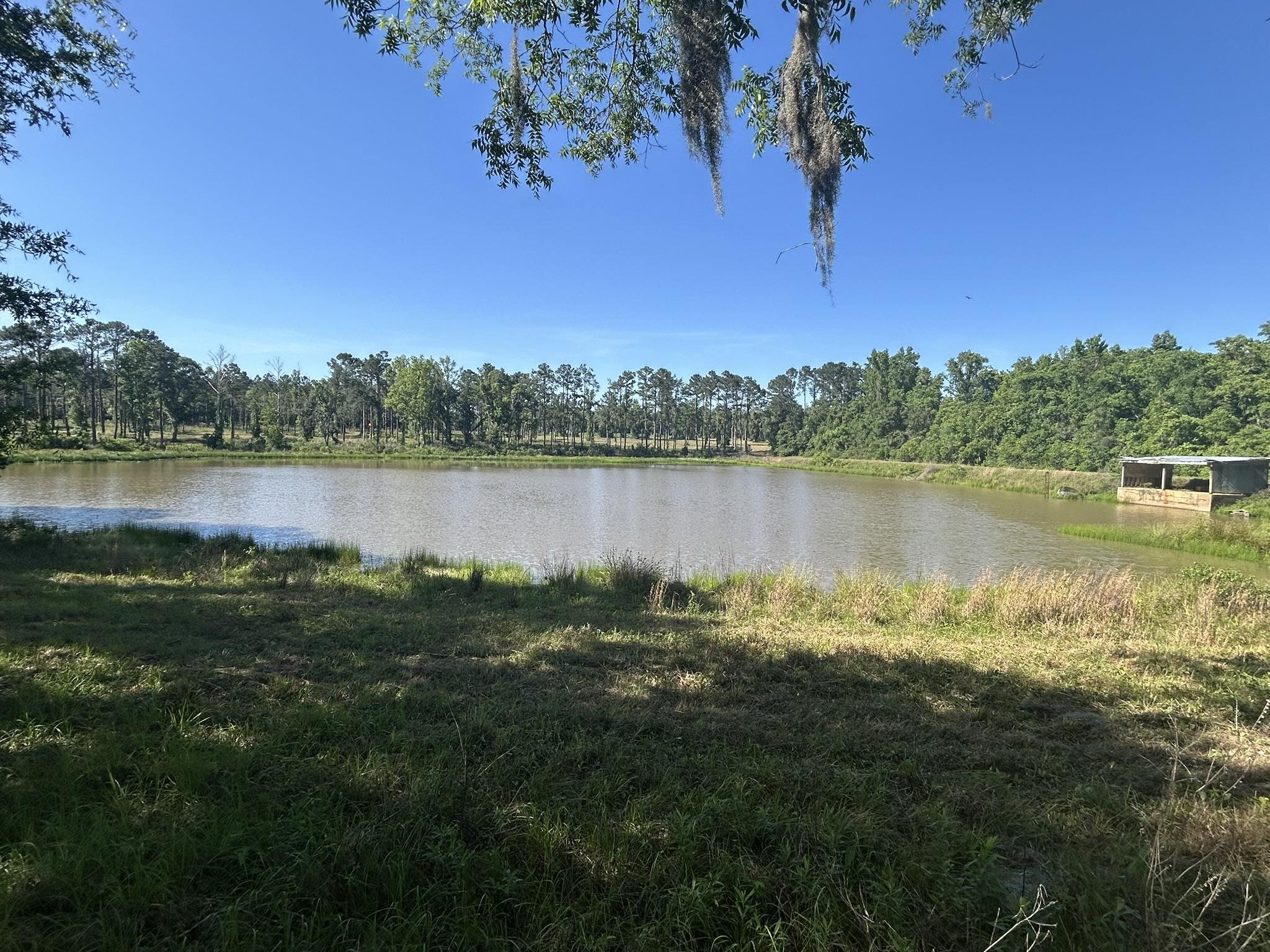 Xxx Ben Bostick Road Quincy, FL 32351 - Photo 9 of 20