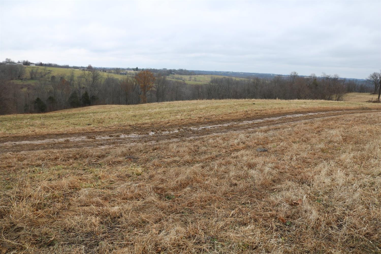 1 Bethel Road Carlisle, KY 40311 - Photo 10 of 40 Photo 10