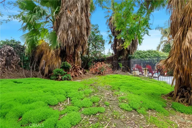 a view of a backyard with a palm tree